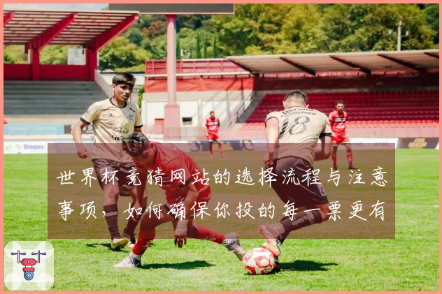 世界杯竞猜网站的选择流程与注意事项，如何确保你投的每一票更有保障