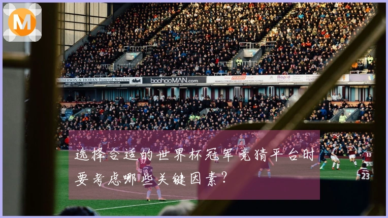 选择合适的世界杯冠军竞猜平台时要考虑哪些关键因素？