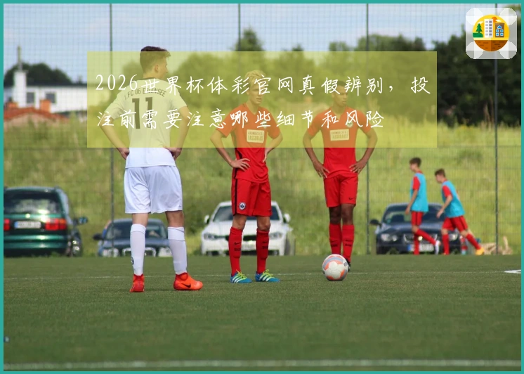2026世界杯体彩官网真假辨别，投注前需要注意哪些细节和风险