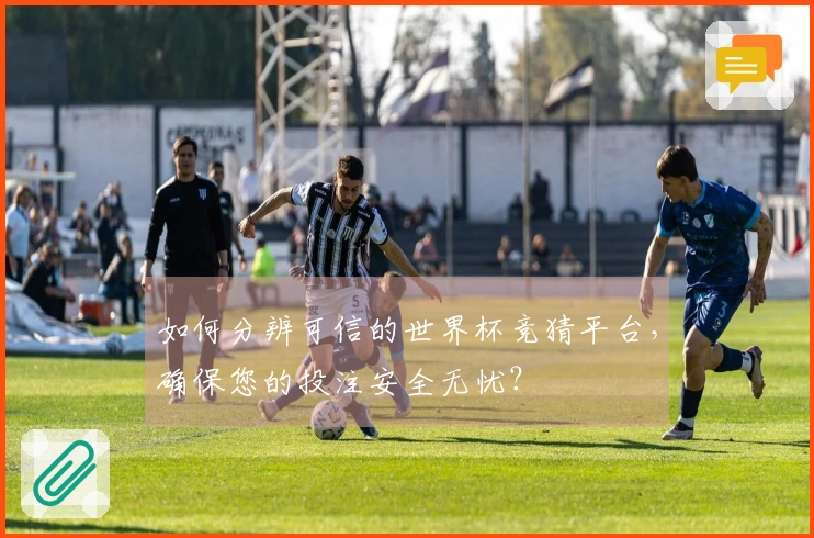 如何分辨可信的世界杯竞猜平台,确保您的投注安全无忧?