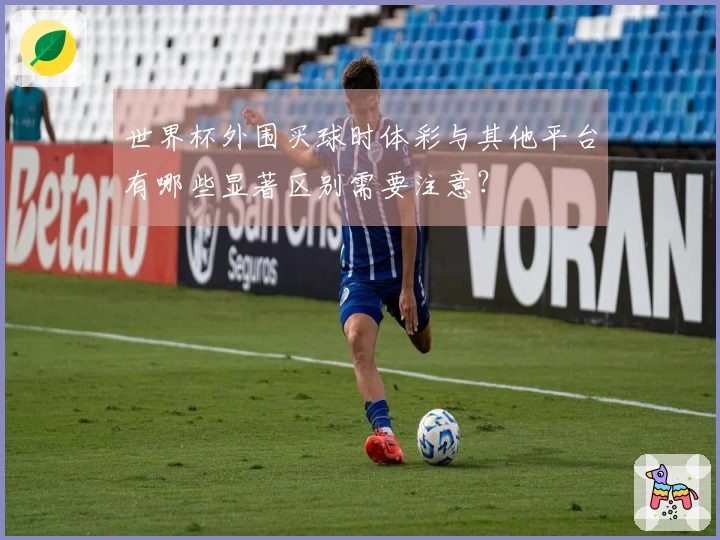 世界杯外围买球时体彩与其他平台有哪些显著区别需要注意？