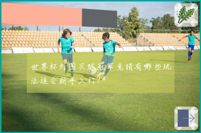 世界杯外围买球冠军竞猜有哪些玩法适合新手入门？