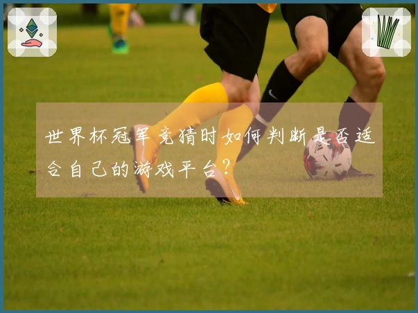 世界杯冠军竞猜时如何判断是否适合自己的游戏平台?