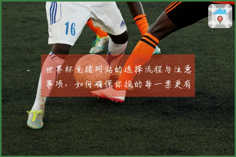 世界杯竞猜网站的选择流程与注意事项，如何确保你投的每一票更有保障