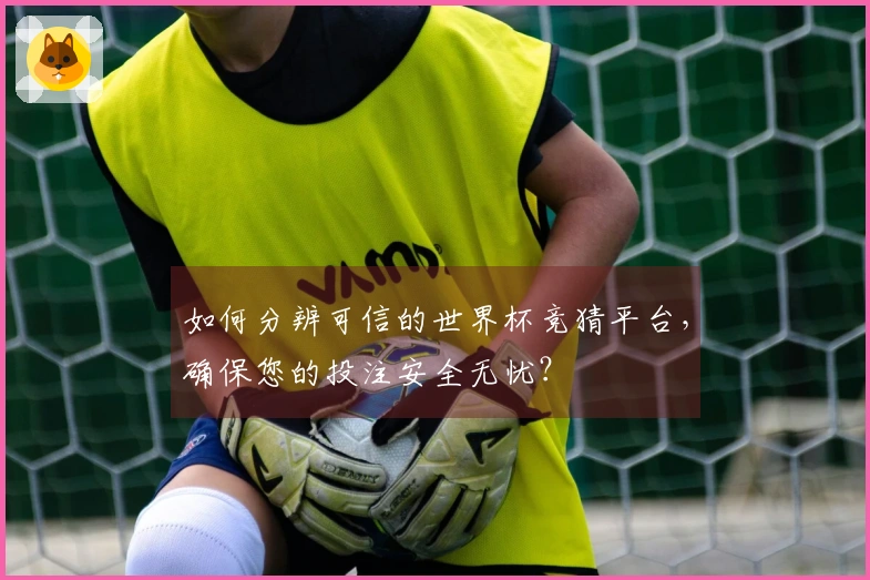 如何分辨可信的世界杯竞猜平台，确保您的投注安全无忧？